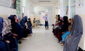 سازمان ملل