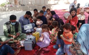 سازمان جهانی