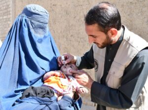 سازمان جهانی