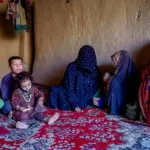 سازمان ورلد