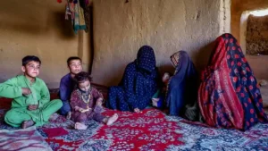 سازمان ورلد