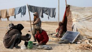 سازمان‌های