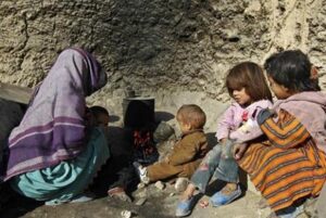 سازمان نجات