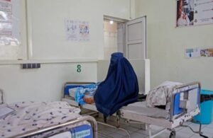 سازمان جهانی