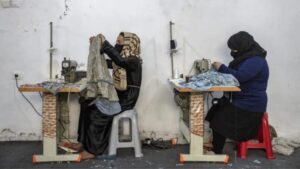 سازمان جهانی