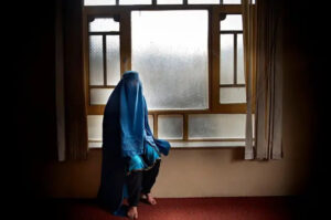 نان به بهای