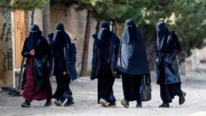 دادگاه عالی