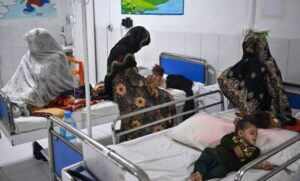 سازمان ملل