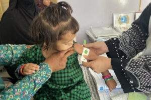سازمان ملل