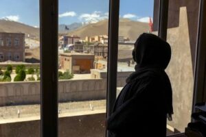 سازمان ملل