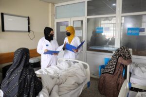 سازمان ملل و جاپان