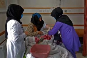سازمان ملل